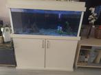 Leeg aquarium, Dieren en Toebehoren, Vissen | Aquaria en Toebehoren, Ophalen of Verzenden, Gebruikt, Leeg aquarium