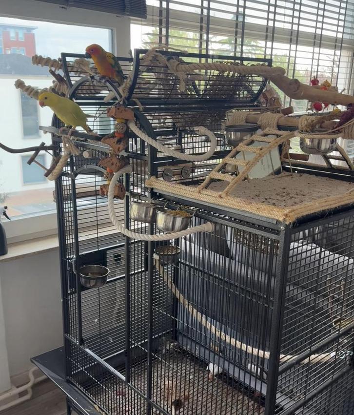 Keddoc Papegaaienkooi Colorado, Dieren en Toebehoren, Vogels | Hokken en Kooien, Zo goed als nieuw, Vogelkooi, Metaal, Ophalen of Verzenden