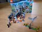 Harry Potter, hagrids hut, buckbeaks rescue nr 75947, Kinderen en Baby's, Speelgoed | Duplo en Lego, Ophalen of Verzenden, Zo goed als nieuw