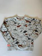 Sturdy jongens Trui Maat 140 Dino Print sweater, Ophalen of Verzenden, Zo goed als nieuw, Jongen, Trui of Vest