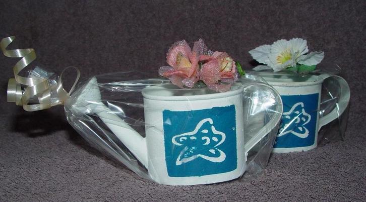 huwelijks bedankjes, teiltjes en gietertjes, Kleding | Dames, Trouwkleding en Trouwaccessoires, Nieuw, Accessoires, Overige kleuren