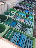 koi te koop,  en vissen   vijver filters groot en klein, Dieren en Toebehoren, Karper of Koi