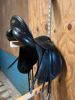 Kieffer lusitano 2, Ophalen, Gebruikt, Dressuur