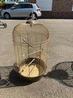 Vogelkooi, Dieren en Toebehoren, Ophalen, Zo goed als nieuw, Kooi-accessoires