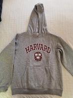 Harvard Hoodie van H&M, H&M, Ophalen of Verzenden, Maat 34 (XS) of kleiner, Grijs