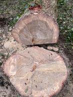 Eikenhout stam om te zagen, Tuin en Terras, Haardhout, Ophalen, Eikenhout, Stammen