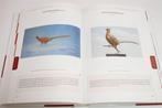 Hoogvliegers van het Laagland — Vogels in de Kunst, Ophalen of Verzenden, Zo goed als nieuw