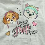 Paw Patrol babyjurkje Skye & Everest best pups grijs maat 80, Nieuw, Paw patrol, Jurkje of Rokje, Meisje