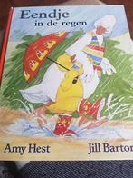 Amy Hest - Eendje in de regen, Boeken, Gelezen, Ophalen of Verzenden, Amy Hest