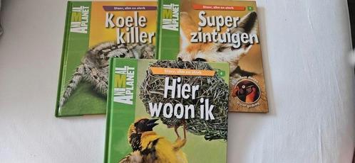Kathy Riley - 2 Koele killers, Boeken, Kinderboeken | Jeugd | onder 10 jaar, Zo goed als nieuw, Ophalen of Verzenden