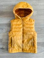 Mango - bodywarmer kids - maat 122, Ophalen of Verzenden, Zo goed als nieuw, Jongen, Jas