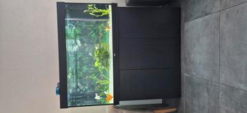 Aquarium tekoop  beschikbaar voor biedingen