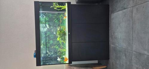 Aquarium tekoop, Dieren en Toebehoren, Vissen | Aquaria en Toebehoren, Gebruikt, Overige typen, Ophalen