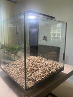 Leeg aquarium met toebehoren, Dieren en Toebehoren, Vissen | Aquaria en Toebehoren, Ophalen, Zo goed als nieuw, Leeg aquarium