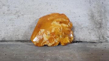 Barnsteen Stuk / Baltische Amber Butterscotch Gepolijst beschikbaar voor biedingen