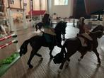 Schleich paardenstal, springconcours en nog veel meer, Ophalen of Verzenden, Gebruikt, Overige typen