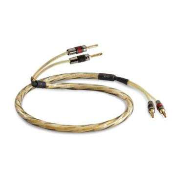 Qed Golden anniversary XT beschikbaar voor biedingen