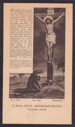 Wilhelmina Hendriks - Werink  1893-1936, Verzenden, Bidprentje