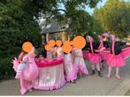 Vrolijke loopgroep, Kleding | Dames, Carnavalskleding en Feestkleding, Ophalen, Zo goed als nieuw, Maat 38/40 (M), Carnaval