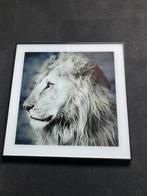 Canvas leeuw glas, Ophalen