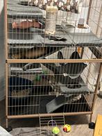 Fretten, katten kooi tekoop, Dieren en Toebehoren, Ophalen, 110 cm of meer, Kooi, 90 cm of meer
