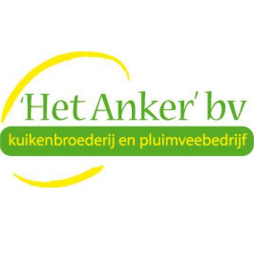 Pluimvee medewerker, Vacatures, Vacatures | Landbouw, Natuur en Milieu, Tijdelijk contract, 33 - 40 uur