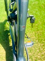pegasus ravena elektrische damesfiets e-bike, Gebruikt, Ophalen of Verzenden, 50 km per accu of meer, 55 tot 59 cm