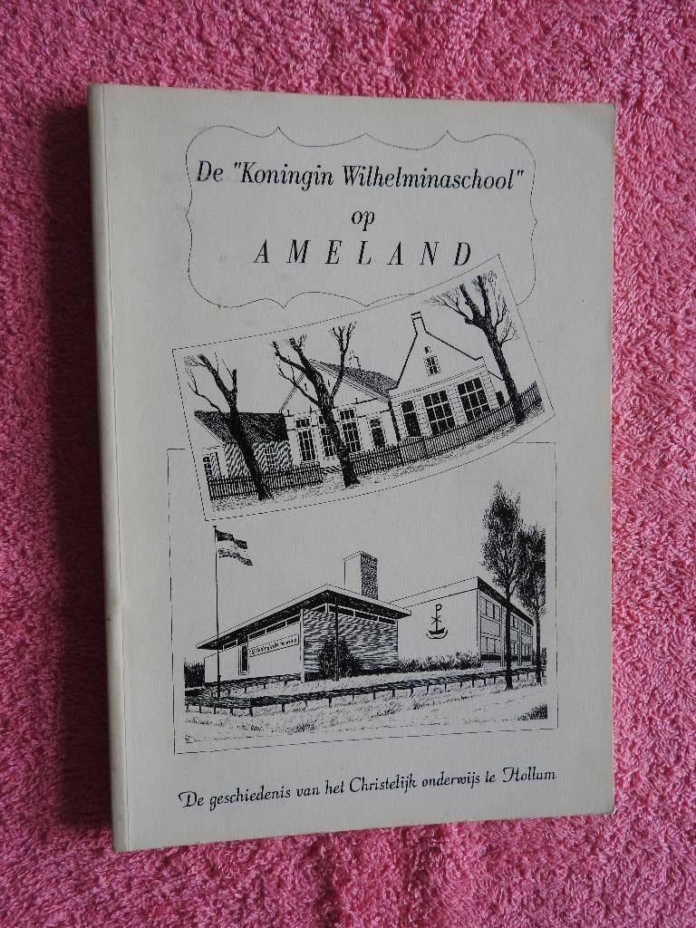 De Koningin Wilhelminaschool op Ameland - Hollum, Ophalen of Verzenden, Zo goed als nieuw