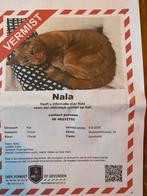 Vermist poes Nala, Dieren en Toebehoren, Kat