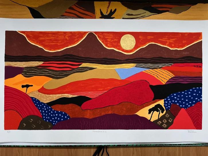 Ronald Boonacker, zeefdruk Tanzania I, Antiek en Kunst, Kunst | Litho's en Zeefdrukken, Ophalen