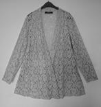 Prachtige Grijs Kanten Sallie Sahne Jacket Mt 42/44, Kleding | Dames, Ophalen of Verzenden, Zo goed als nieuw, Jasje of Colbert