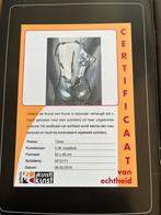 Torso van C.M. Leushuis met Certificaat, Ophalen