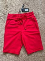 Mi Piace travel short/bermuda, rood, L, NIEUW met prijskaart, Mi Piace, Kort, Maat 42/44 (L), Nieuw