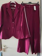 Nieuw 2delig pak bordeaux xl, Kleding | Dames, Jasjes, Kostuums en Pakken, Ophalen of Verzenden, Nieuw, Maat 46/48 (XL) of groter