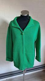 Witteveen vest maat M., Ophalen of Verzenden, Zo goed als nieuw, Maat 38/40 (M), Groen