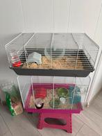 2 hamster kooien met alle benodigdheden inclusief extra hooi, Dieren en Toebehoren, Ophalen of Verzenden, Zo goed als nieuw, Kooi
