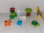 Duplo jonge dieren, Gebruikt, Ophalen of Verzenden, Duplo, Duplo