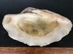 Vintage reuzendoopvontschelp xl (Tridacna gigas), Ophalen, Zo goed als nieuw