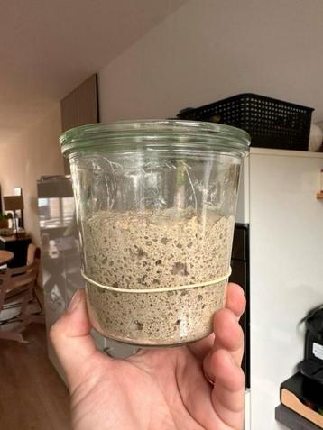 Zuurdesem starterpakket (biologisch) beschikbaar voor biedingen