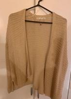 Mooi vestje van Sfera!, Kleding | Dames, Truien en Vesten, Verzenden, Zo goed als nieuw, Maat 38/40 (M), Beige