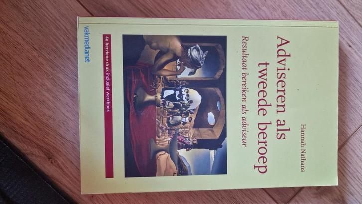 Adviseren als Tweede Beroep - Hannah Nathans, Boeken, Advies, Hulp en Training, Zo goed als nieuw, Ophalen of Verzenden