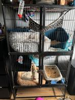 Fretten, ratten, knaagdieren kooi, Dieren en Toebehoren, Knaagdieren en Konijnen | Hokken en Kooien, Ophalen, Kooi, Zo goed als nieuw