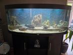 Aquarium  Juwel Vision 450, Dieren en Toebehoren, Ophalen, Gebruikt, Leeg aquarium