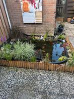 Vijverbak van ubbink 750 l, met alle toebehoren ( zie foto), Tuin en Terras, Vijvers, Ophalen, Gebruikt