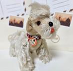 Steiff poedel poedeltje Snobby wit mohair oud jaren 60 *Knop, Ophalen of Verzenden