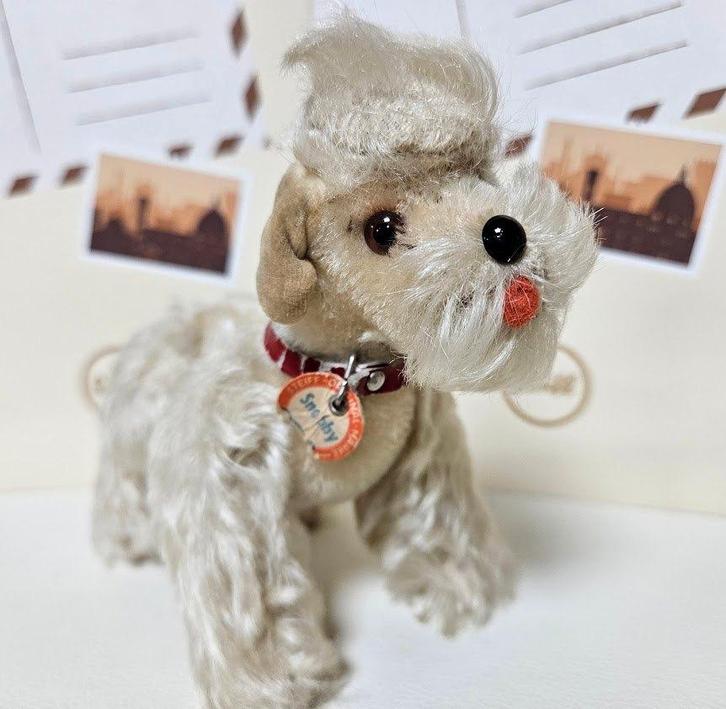 Steiff poedel poedeltje Snobby wit mohair oud jaren 60 *Knop, Antiek en Kunst, Antiek | Speelgoed, Ophalen of Verzenden