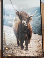 Koe Poster in lijst, Ophalen, Gebruikt, Foto of Poster, 75 cm of meer