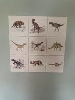 IXXI Dino collage 60x80cm, Ophalen of Verzenden, Zo goed als nieuw, Wanddecoratie