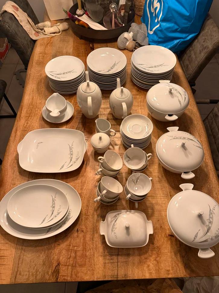 Eschenbach Bavaria Servies - Compleet, Huis en Inrichting, Keuken | Servies, Zo goed als nieuw, Compleet servies, Overige stijlen