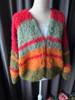 Grof Gebreid Vest Kleurrijk, Ophalen of Verzenden, Nieuw, Maat 38/40 (M), Overige kleuren